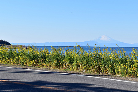 海沿いの絶景