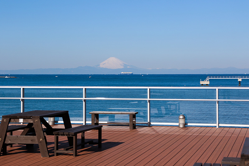 北条海岸と富士山